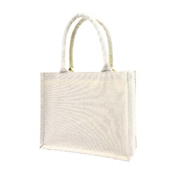 BG 181 Non-Woven Bag