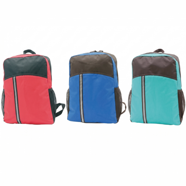 BG 038 Nylon 600D 2 Compartment Bag