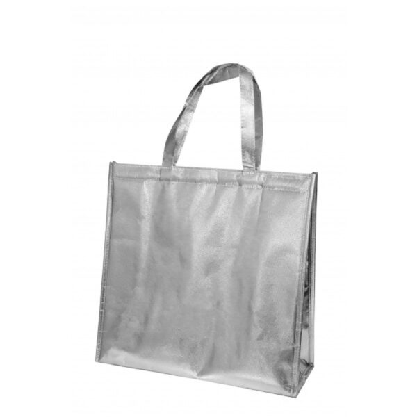 BG 087 Laminated Non-Woven Fabric Warmer Multipurpose Bag