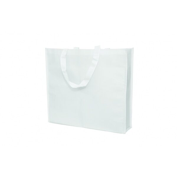 BG 176 Non-Woven Bag