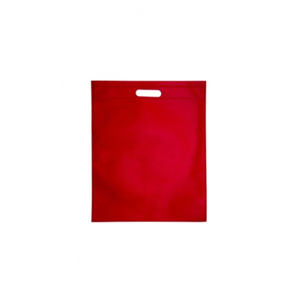 BG 173 Non-Woven Bag