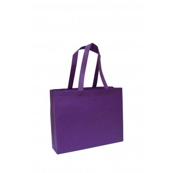 BG 167 Non-Woven Bag