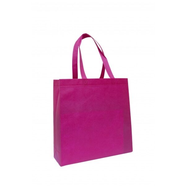 BG 166 Non-Woven Bag