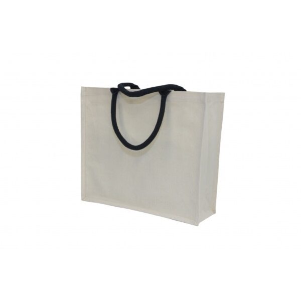 BG 195 Non-Woven Bag