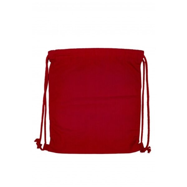 BG 193 Non-Woven Bag