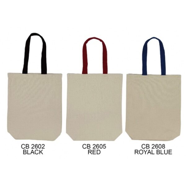 BG 201 Non-Woven Bag