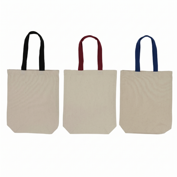 BG 201 Non-Woven Bag